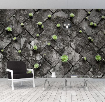 Picture of bright green succulents on black and white grey wall made by stone block growing from cracks and spaces on the wall Green wall for green life 